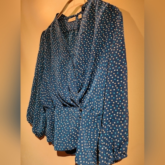 New York & Company Eva Mendes  Green White, and Tan Sheer Polkadot Blouse - Picture 7 of 15